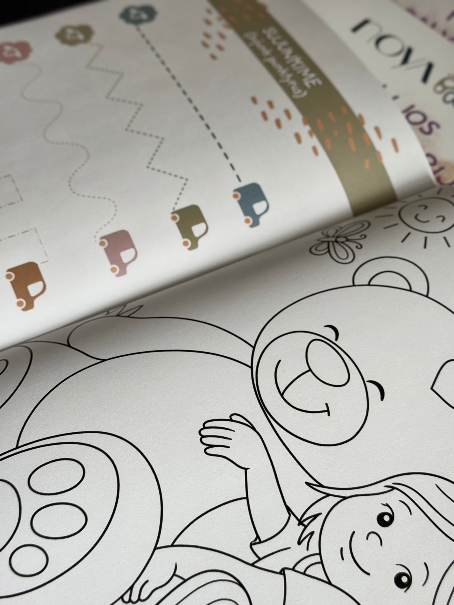 PERSONALIZUOTA SPALVINIMO KNYGUTĖ